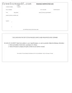 Fill in a Valid Auto Insurance Card Template