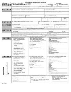 Fill in a Valid CDC U.S. Standard Certificate of Live Birth Template