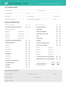 Fill in a Valid Lyft Inspection Template