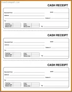 Fill in a Valid Cash Receipt Template