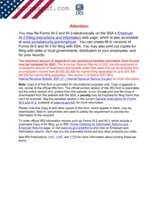 Fill in a Valid IRS W-2 Template